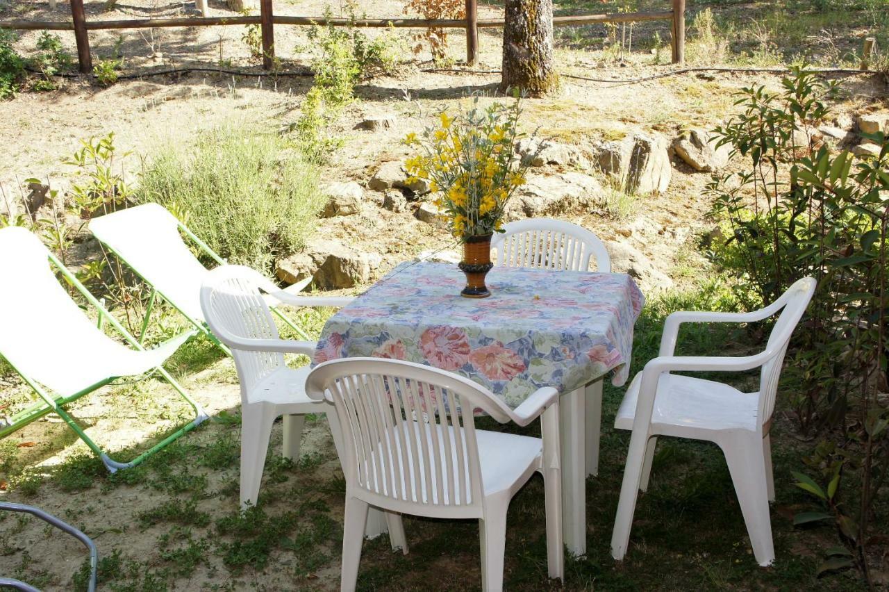 Villa Borgo La Fungaia 甘巴西 外观 照片